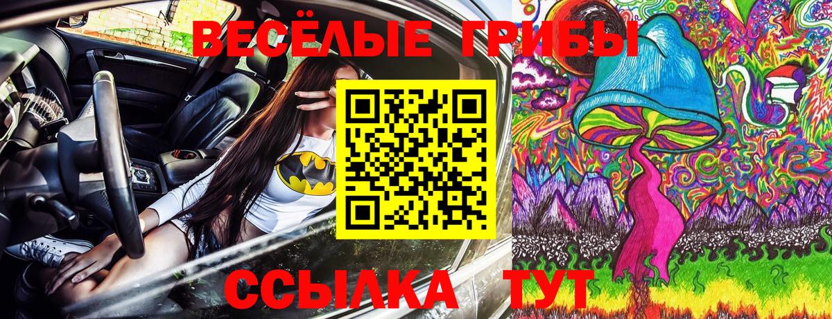 наркота  Галлюциногенные грибы ЛСД  Псилоцибиновые грибы Magic Shrooms  Вход с VPN  Фролово 